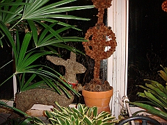 088 Toledo Zoo Light Show [2008 Dec 27]